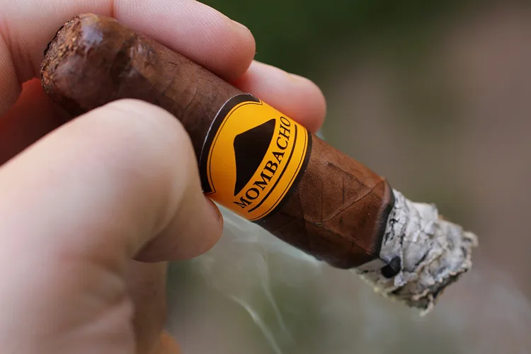 Mombacho Clasico Robusto