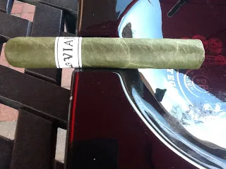 Viaje White Label Project (WLP) St. Patrick's Day Candela 2012