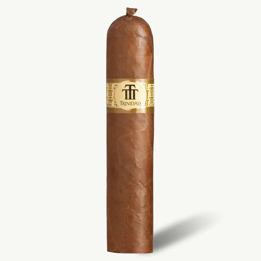 Trinidad Vigía
