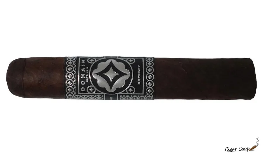 Domain Entropy Robusto