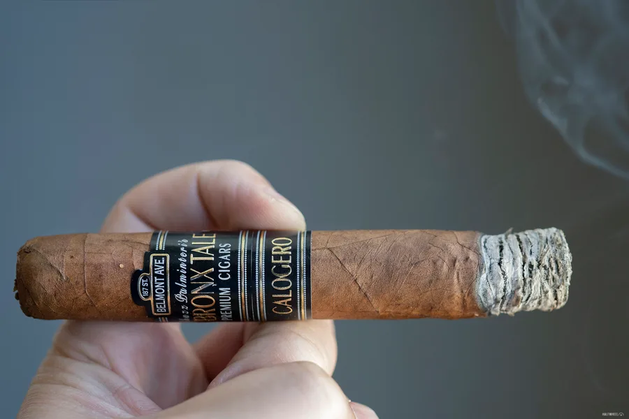 A Bronx Tale Calogero Robusto