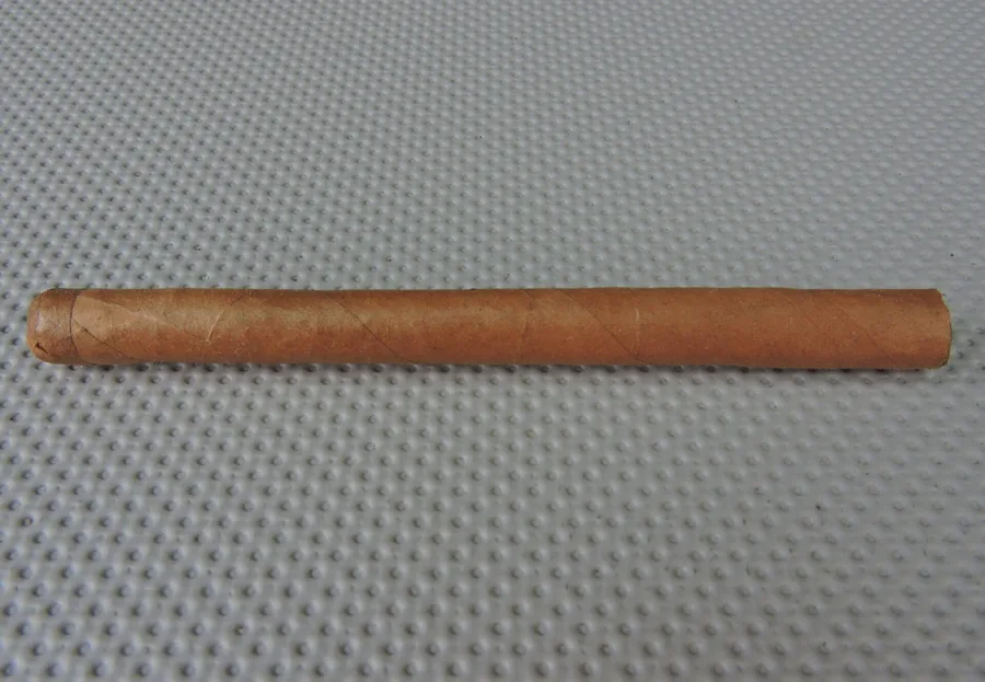Maya Selva Cigars Agile Cigar Review: Flor de Selva