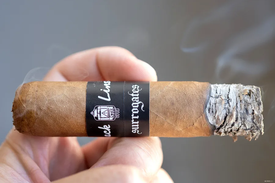 Surrogates Back Line EL454