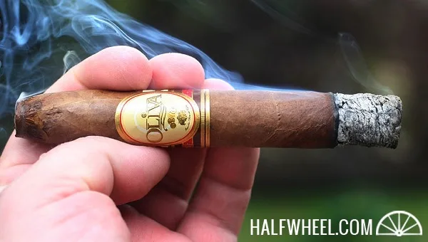 Oliva Special S