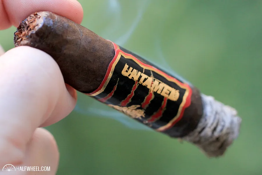 La Aurora Untamed
