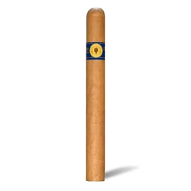 Santa Damiana Churchill