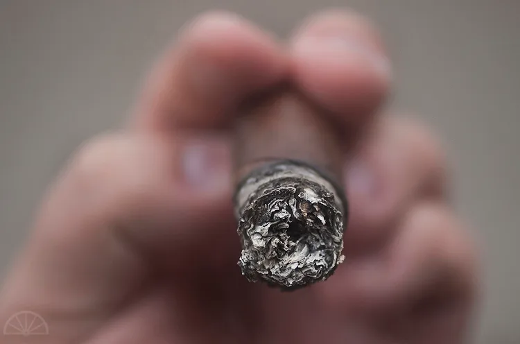 Viaje White Label Project Super Shot 12 Gauge