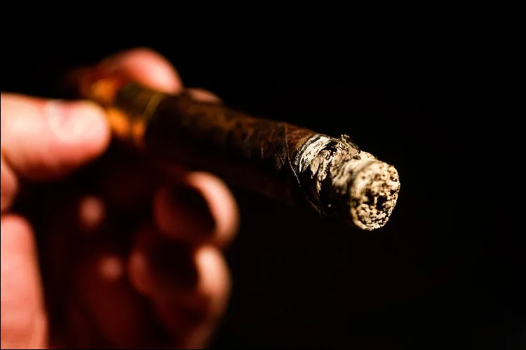 Coronado by La Flor Maduro Corona Especial