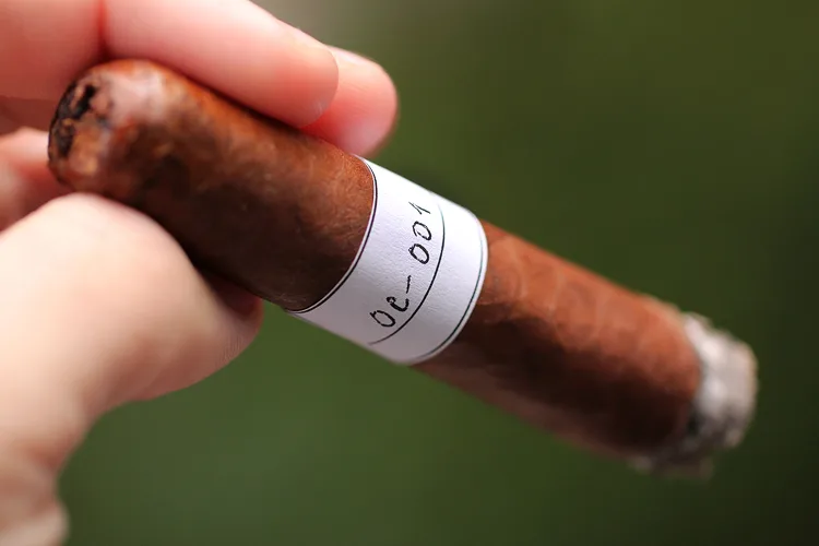 Oliva Concept Blend OC-001