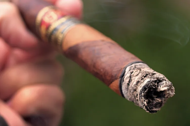 La Flor Dominicana Meaner Digger