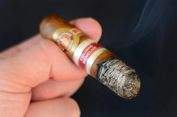 Ramón Allones Specially Selected Gran Robusto Edición Regional Benelux (2008)