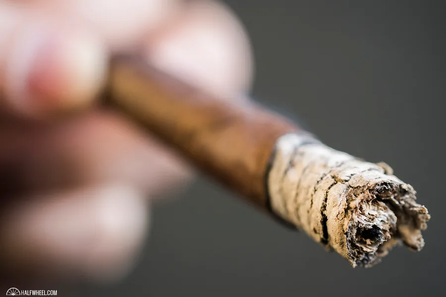 Tatuaje Little Hassell