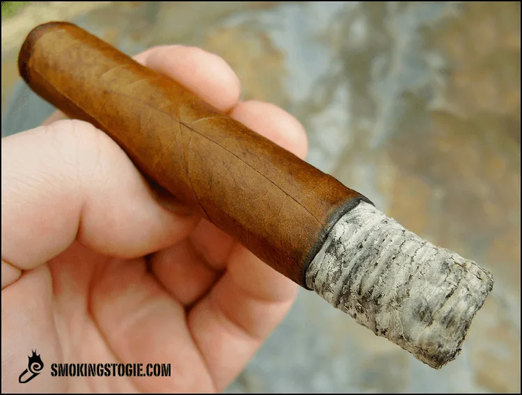 Tatuaje L'Esprit de Vérité 2009