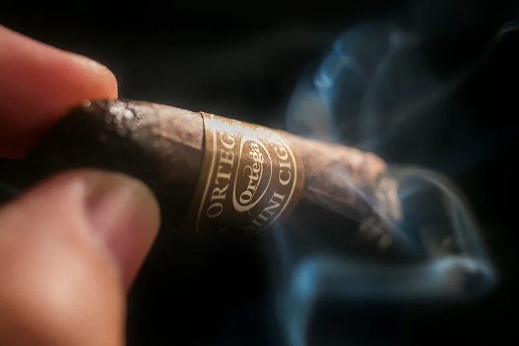 Ortega Mini Maduro