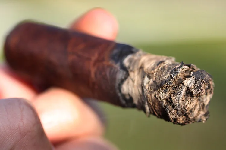 Viaje Super Shot 10 Gauge