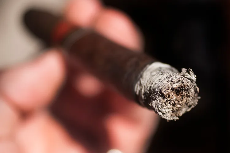 La Flor Dominicana Mystery