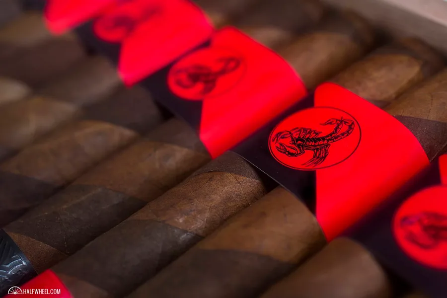 Camacho Double Shock Limited Edition 2014