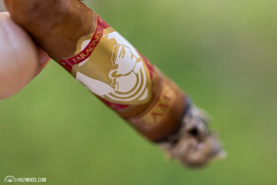 Faraón Ramses Belicoso