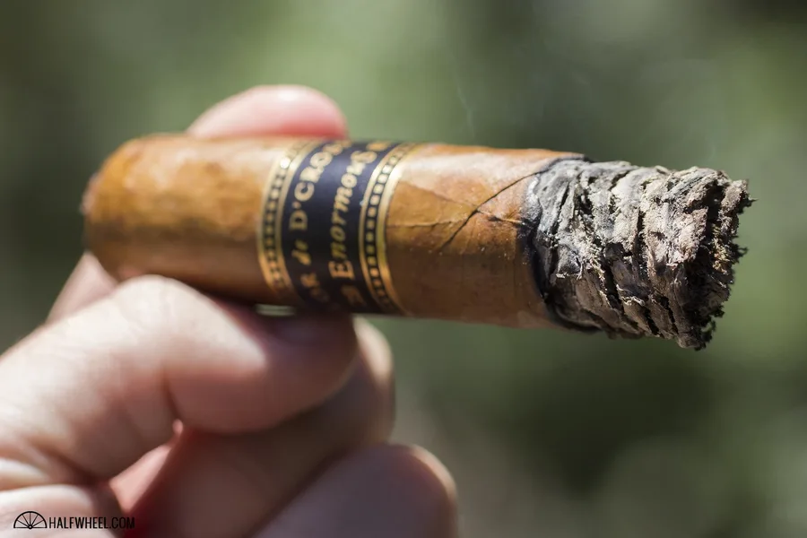 Flor de D’Crossier Enormous 360 Claro