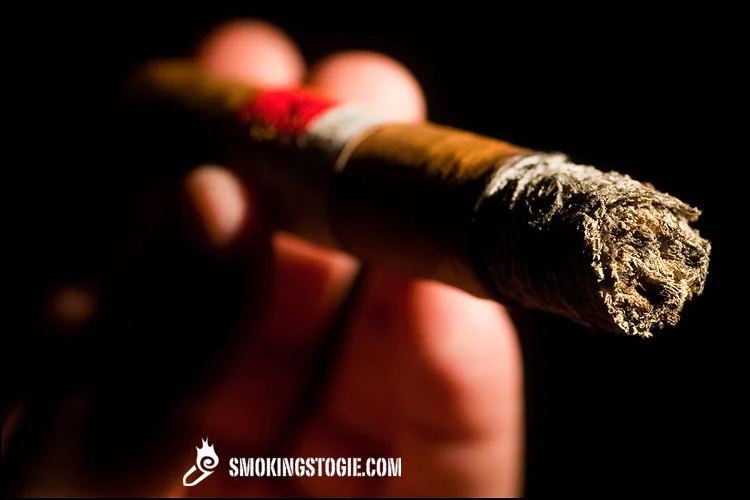 E.P. Carrillo New Wave Connecticut Divinos