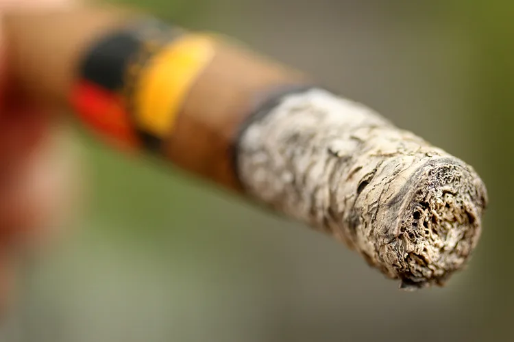Breve by Arzt Fine Cigar Corporation