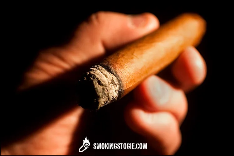 Partagás 165 Aniversario Humidor