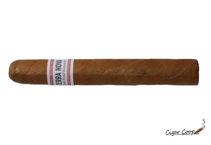 Terra Nova Dark Fired Kentucky