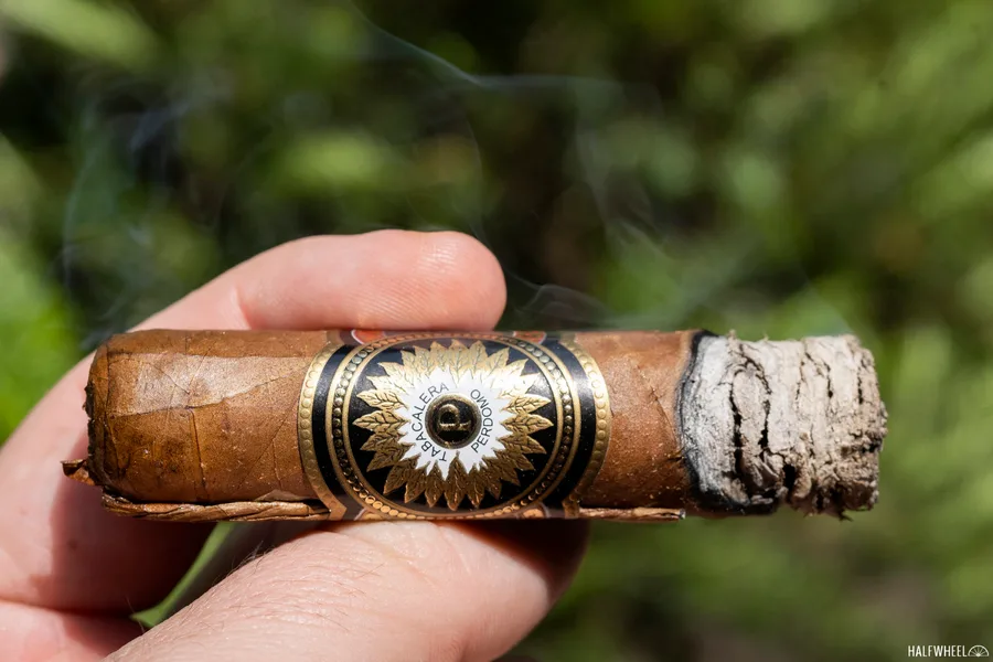 Perdomo Firecracker