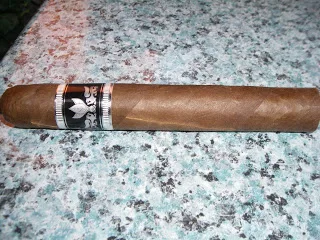 Rodrigo La Fortaleza Cinco 5 Review