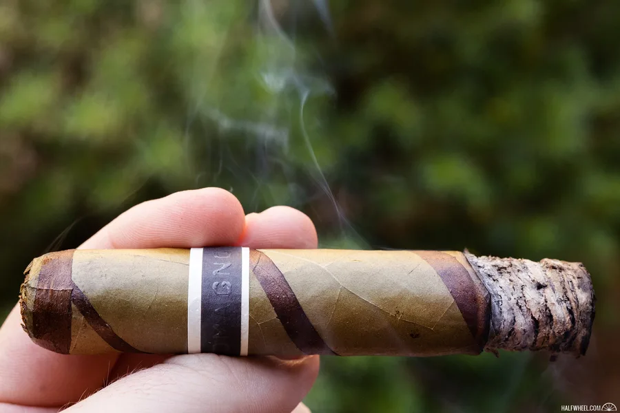 CroMagnon EMH Don Bosco
