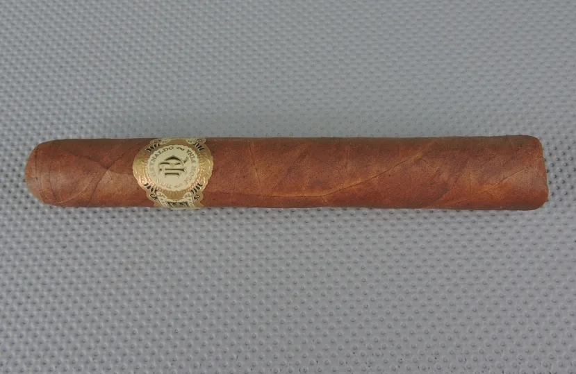 Warped Agile Cigar Review: Don Reynaldo Regalos