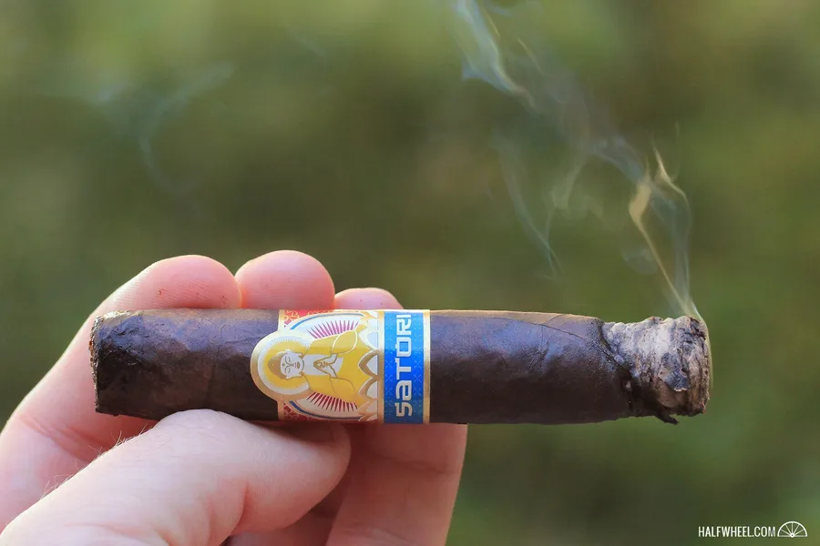 Viaje Satori Arya