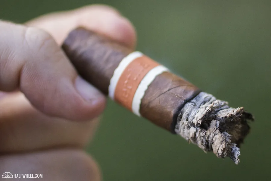RoMa Craft Tobac Neanderthal HoxD