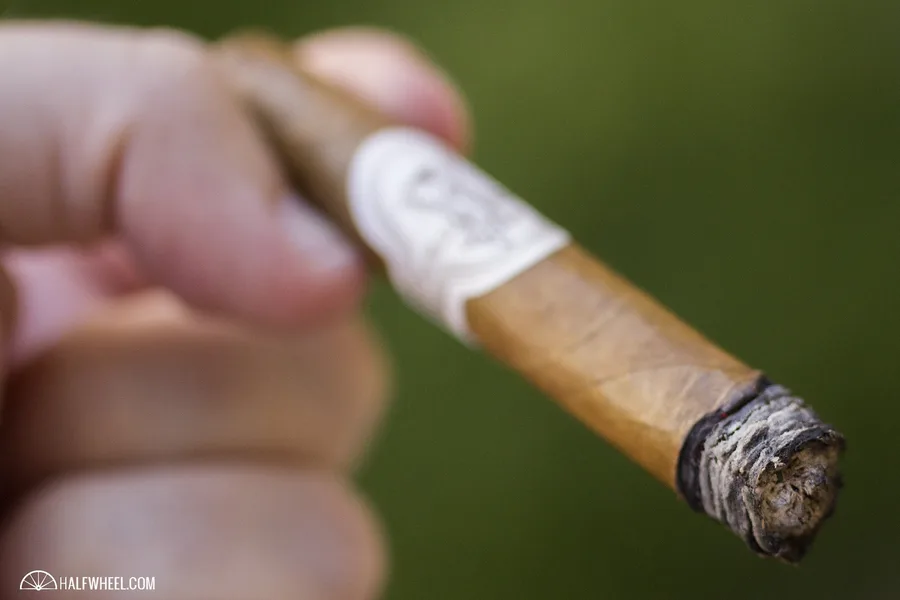 Flor de Selva No. 20