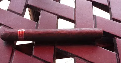 Illusione cg4 Maduro