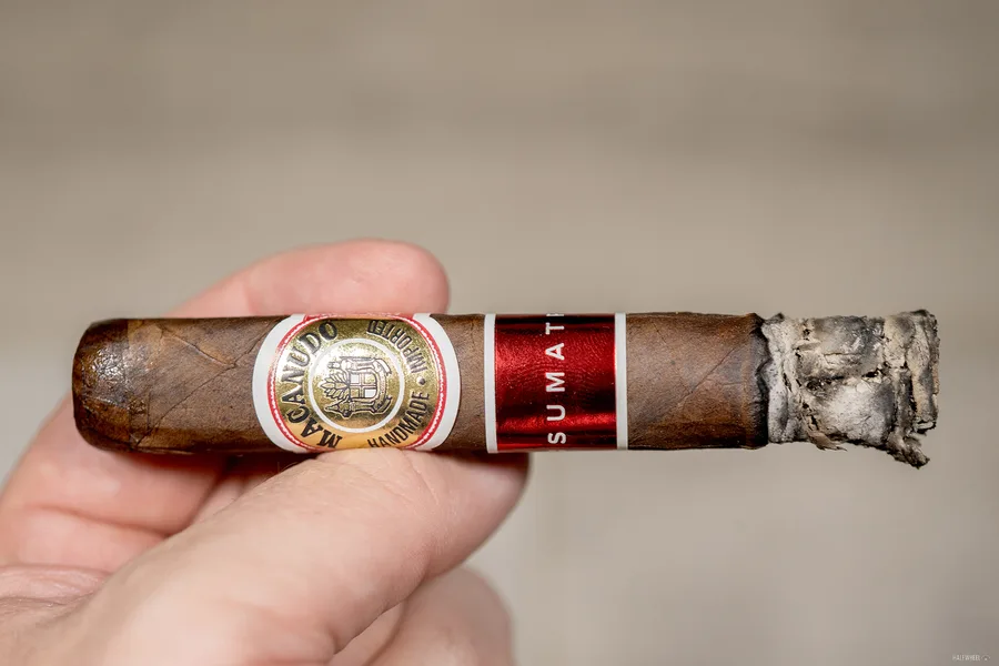 Macanudo Sumatra