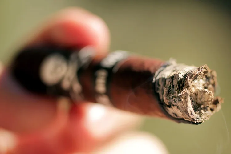 Viaje Skull and Bones White MOAB