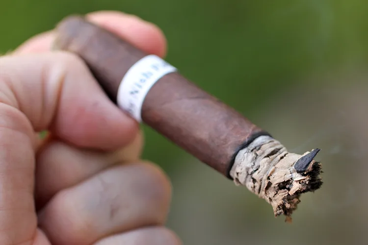 Bold by Nish Patel Robusto