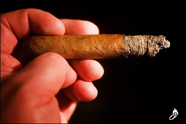 Partagás Dunhill Selección Suprema No.150 (1979)