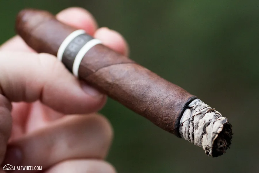 CroMagnon Timeline