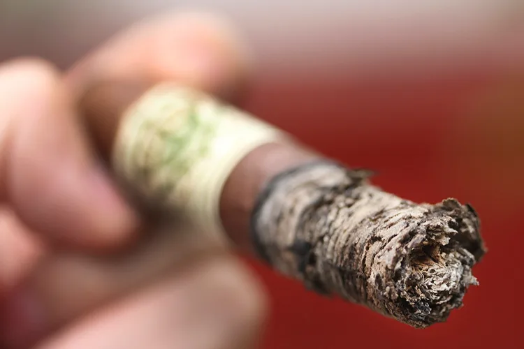 Viaje Late Harvest LH 550