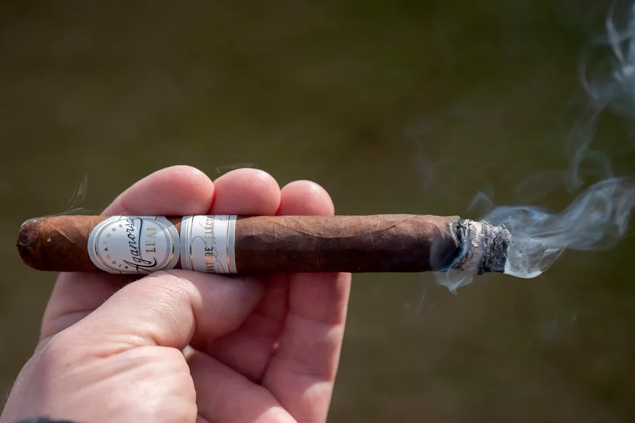AGANORSA Leaf Signature Maduro Corona Gorda