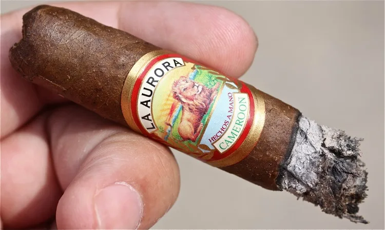 La Aurora Preferidos Cameroon