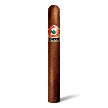 Joya de Nicaragua Antano Original 1970 Big Bull