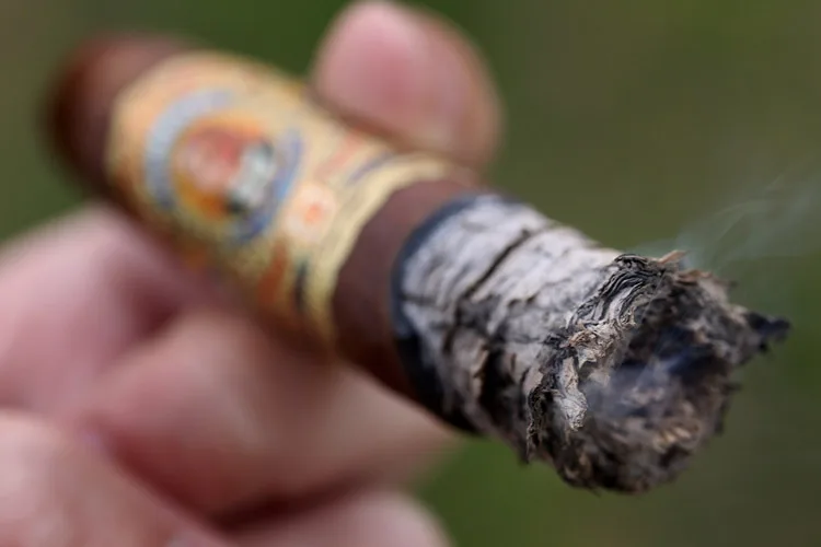 Arturo Fuente Don Arturo Gran AniverXario Belicoso (Sun Grown)