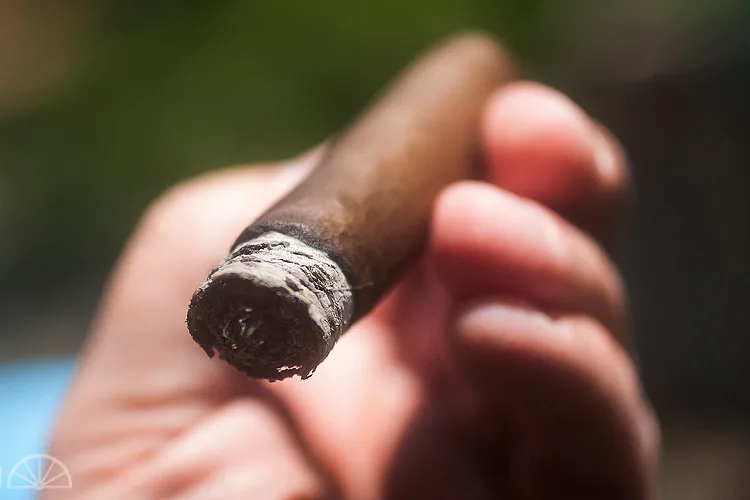 Wynwood Cigars The 15th And The First