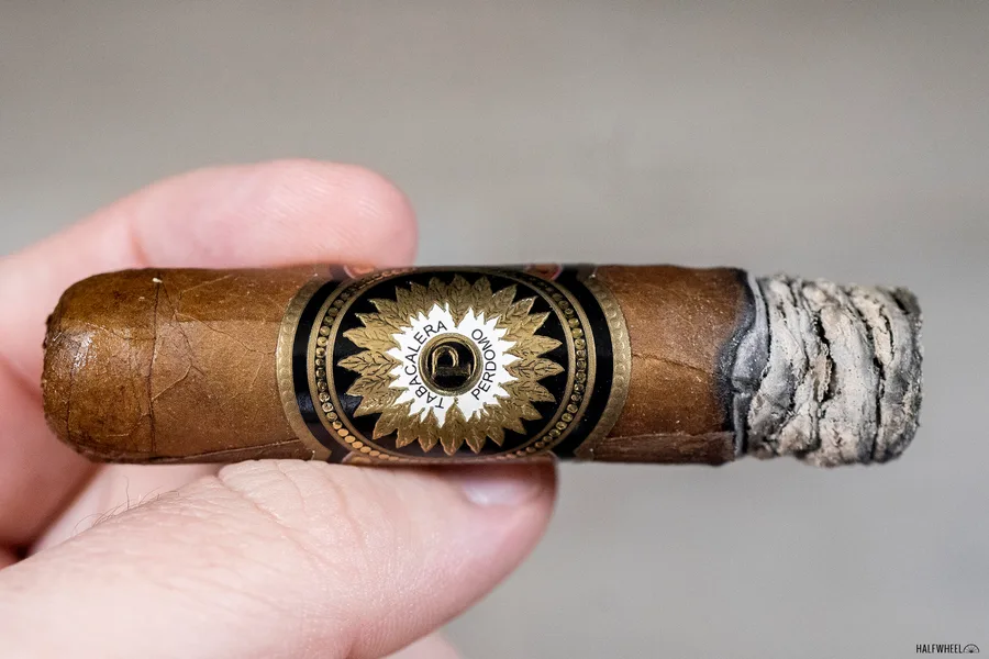 Perdomo Firecracker (2020)