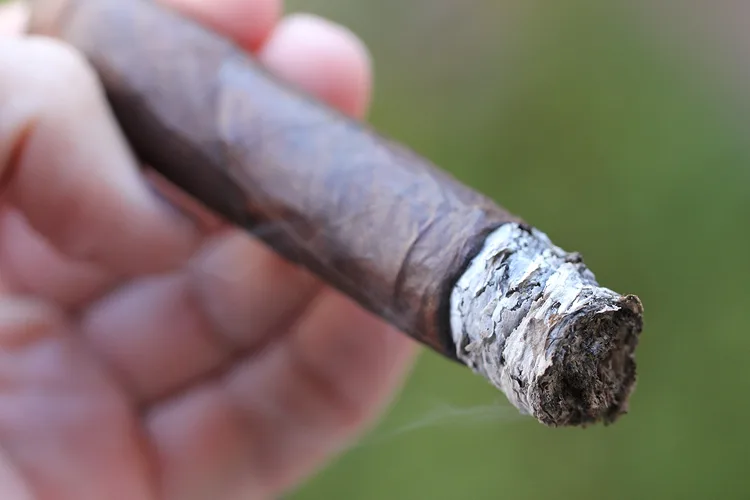 Viva Republica Rapture Maduro Revel