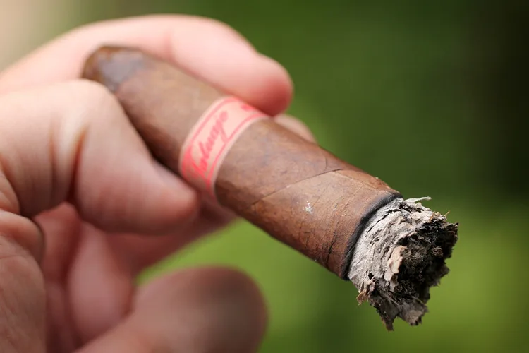 Tatuaje Wolfie