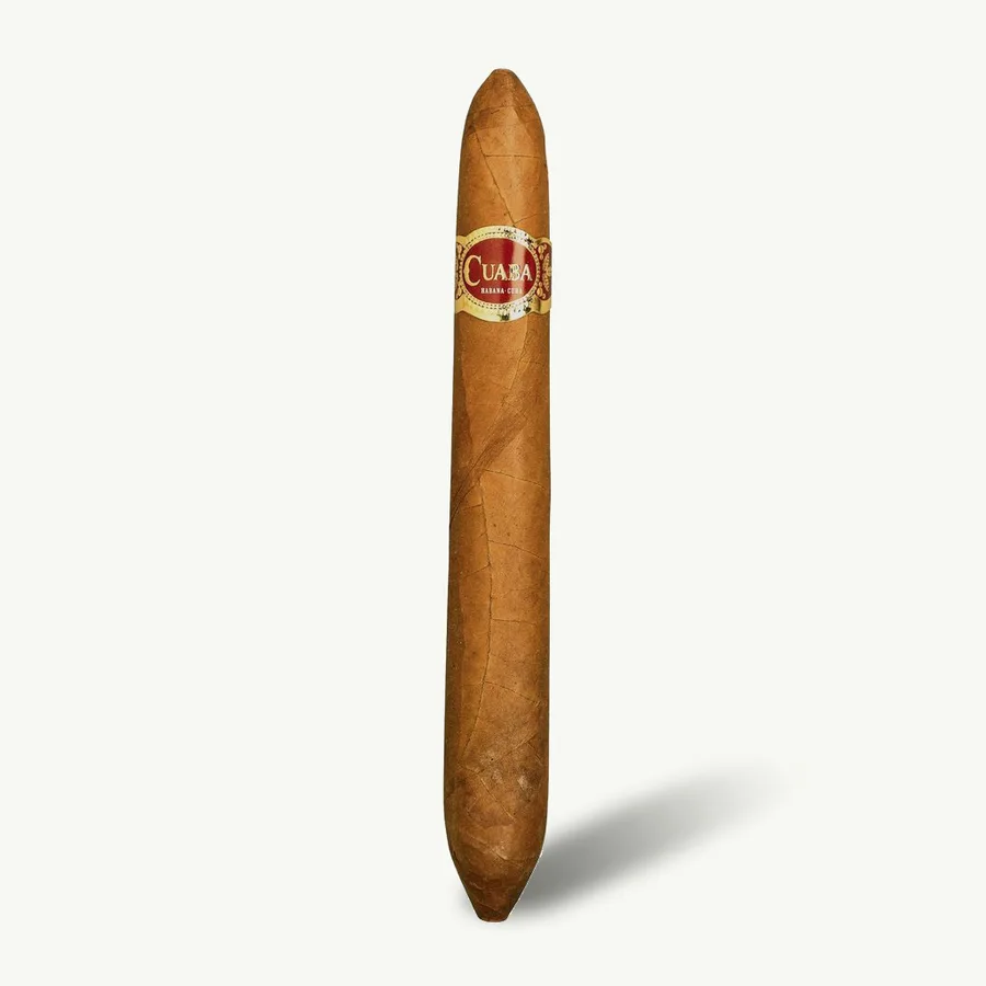 Cuaba Salomon